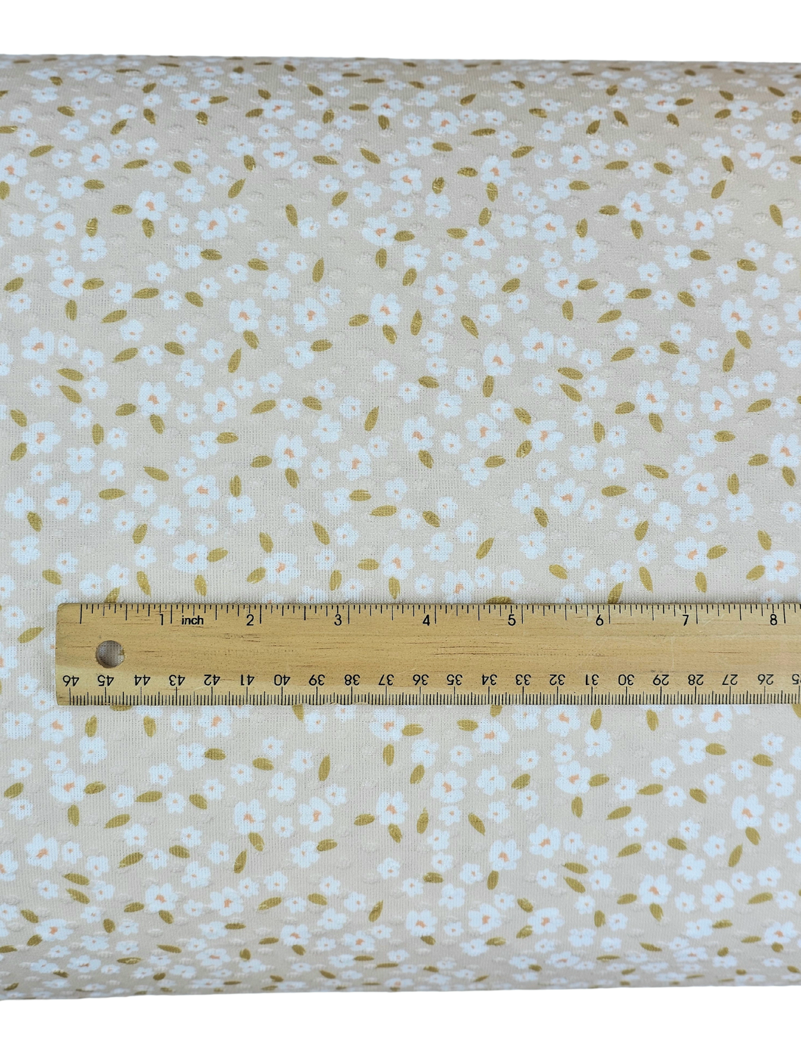 ft202402161-4