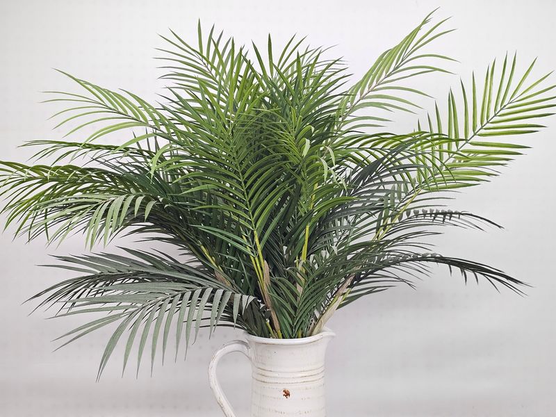 Palm Fronds