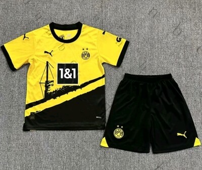 Conjunto Borussia Dortmund