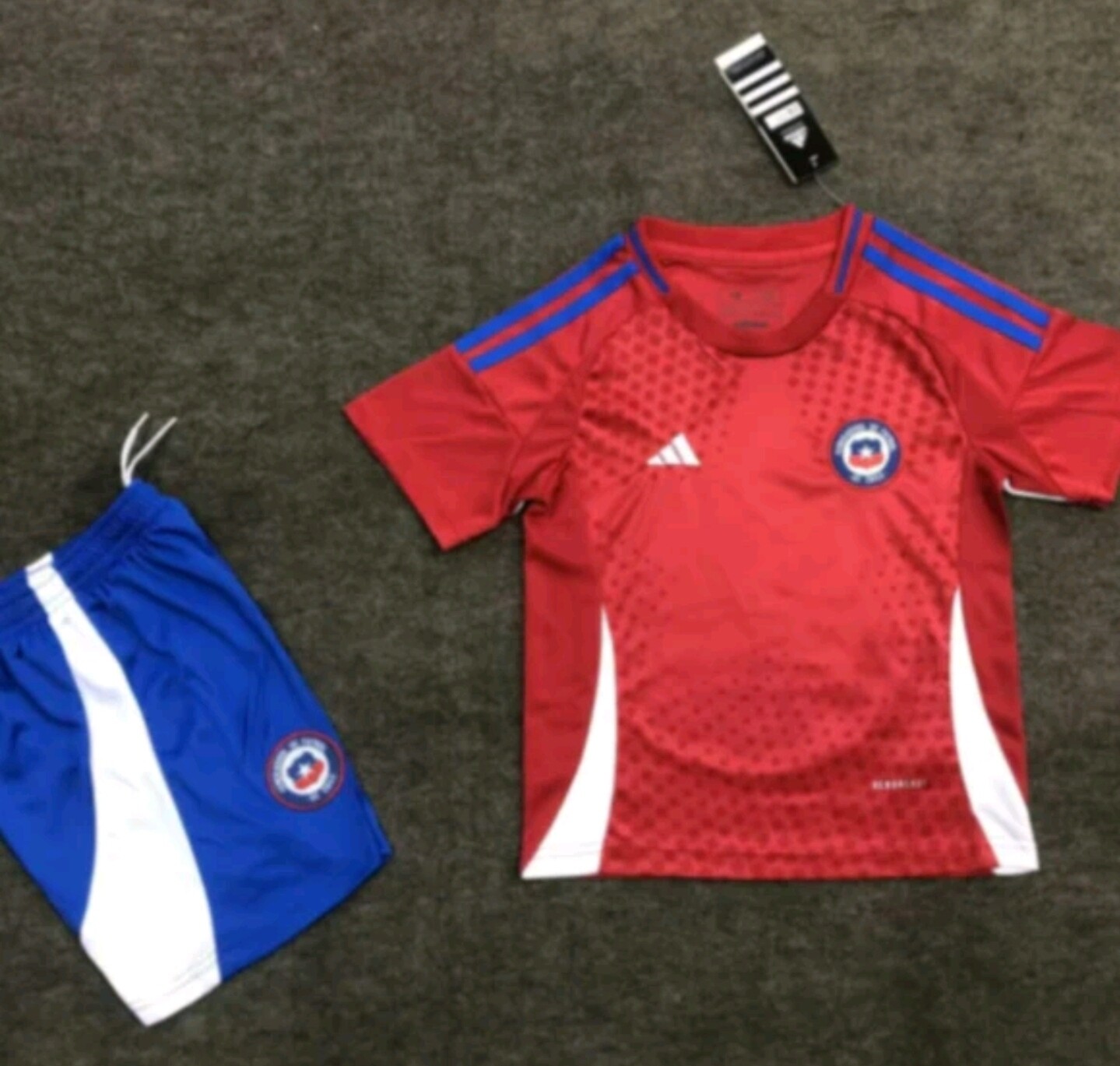 Chile selección 2024