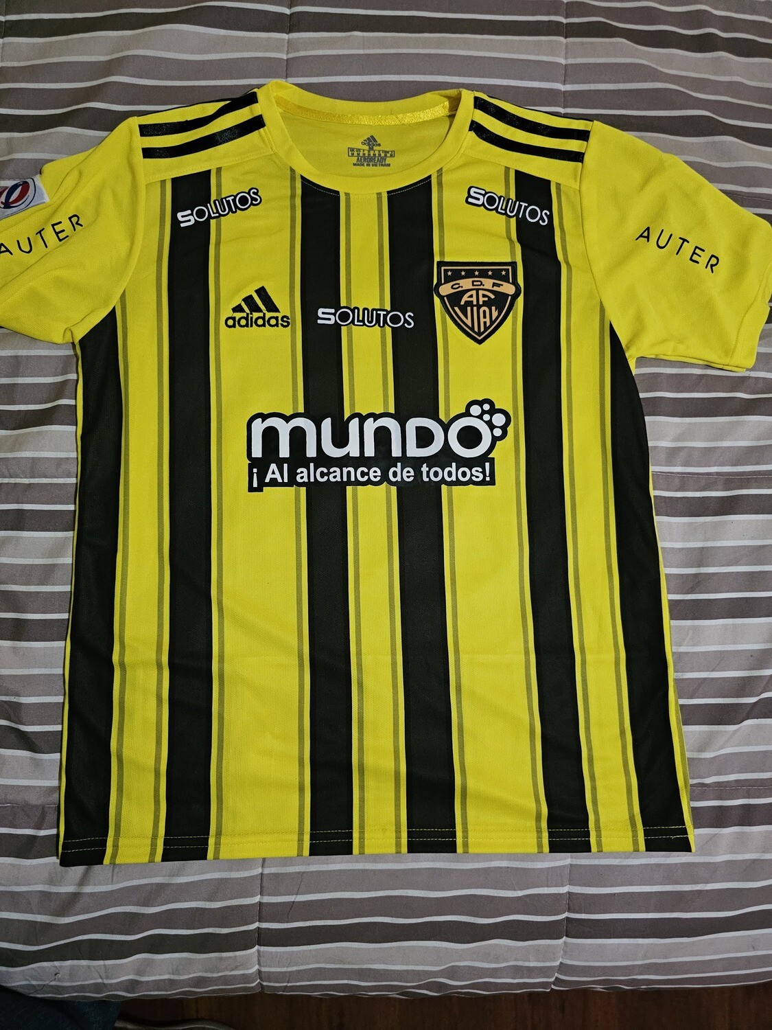 Fernandez Vial 2023