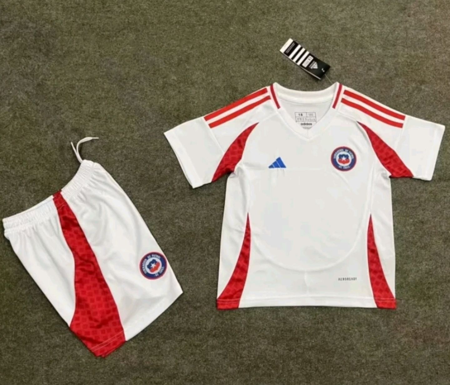 Chile selección 2024 blanco 2024