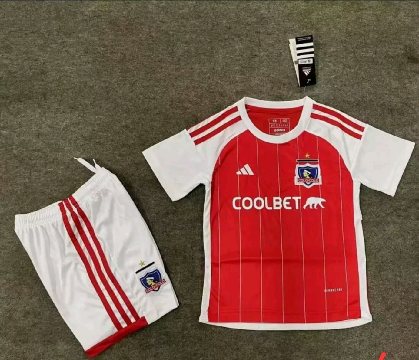Conjunto Colo Colo 2024 rojo - Premium Quality 