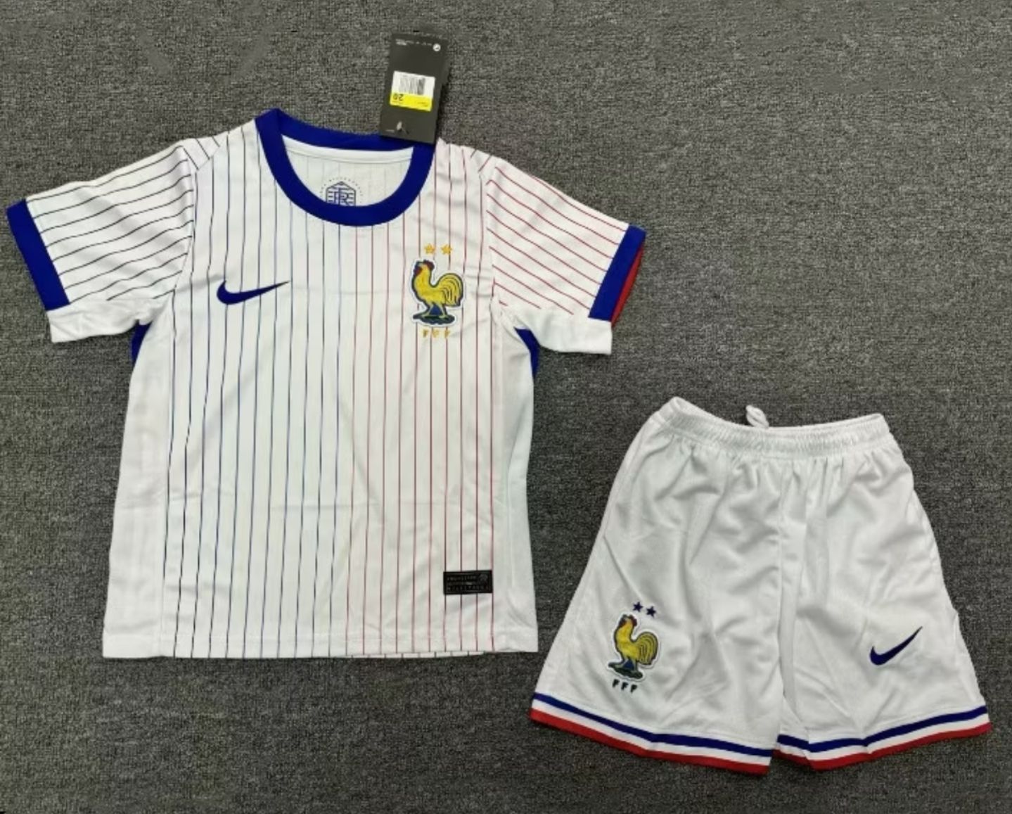 Conjunto Francia visita 2024/2025