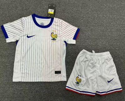 Conjunto Francia visita 2024/2025