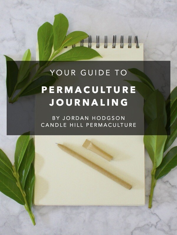FREE: Your Guide to Permaculture Journaling (digital)