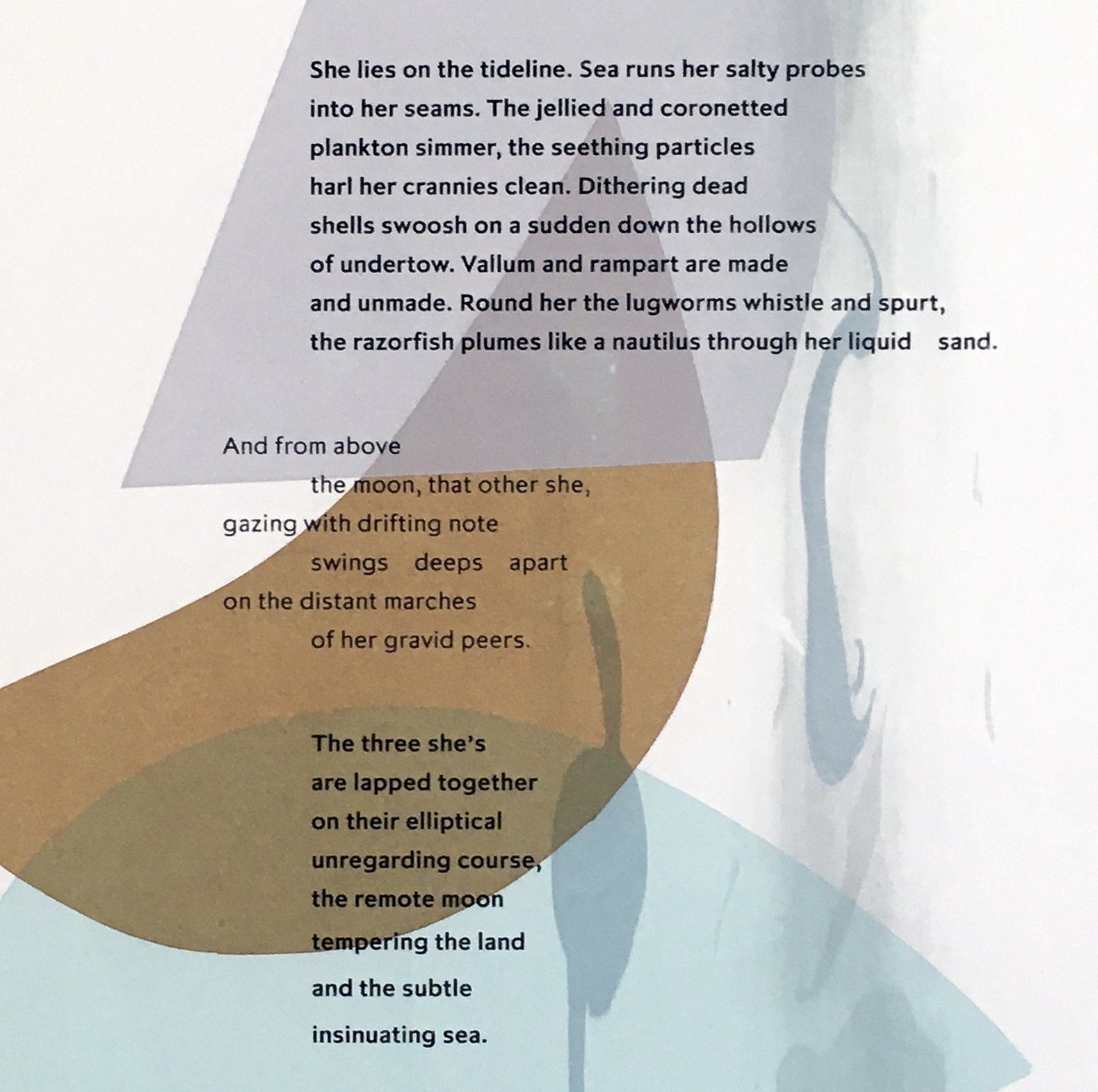 Lucy & Robert Carter, 'The Three She's', unframed