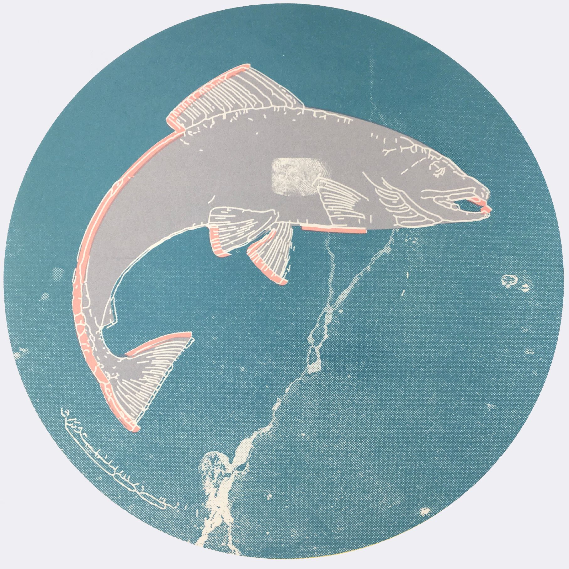 Lucy & Robert Carter, 'The Salmon II (Flóirín)', unframed