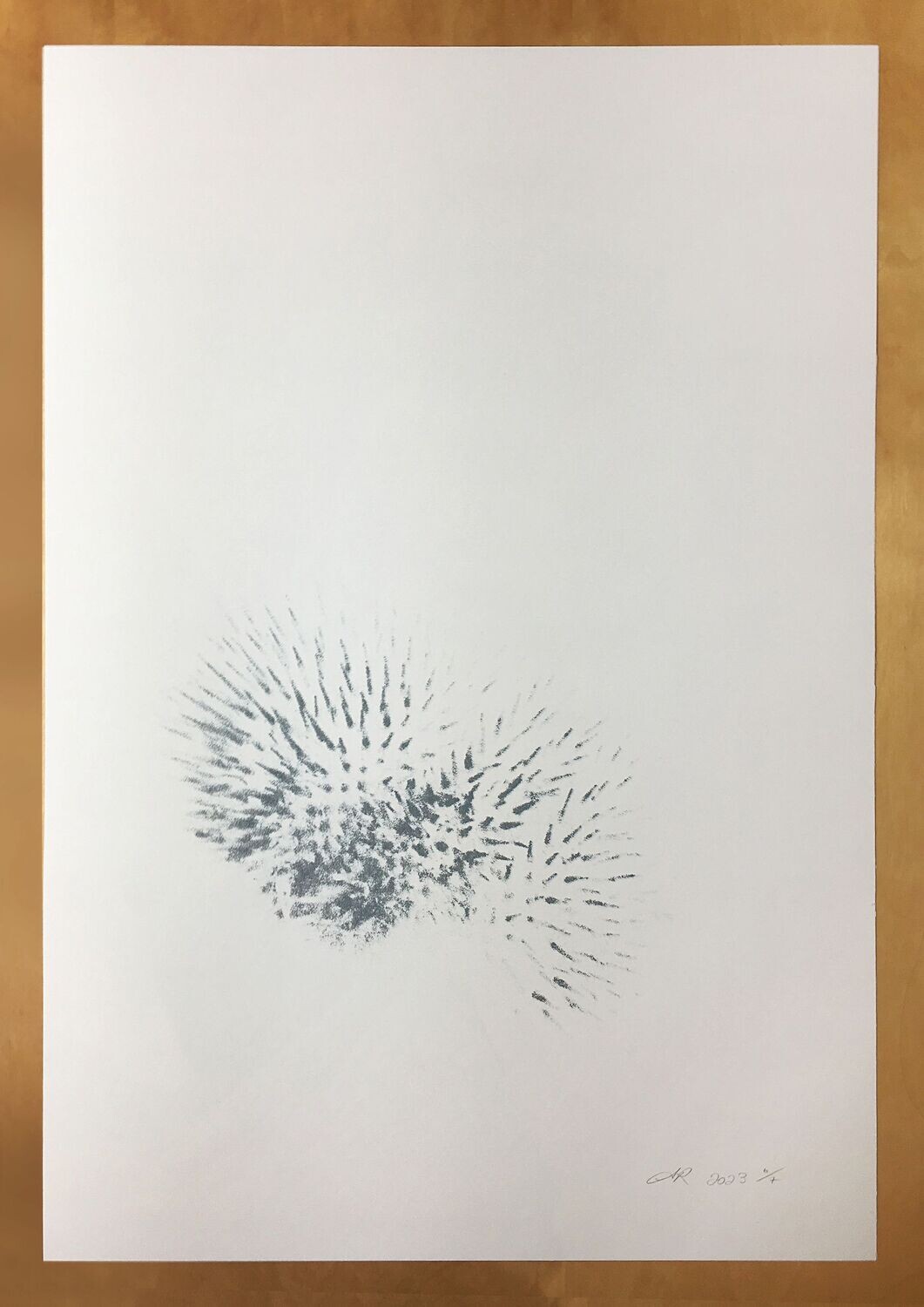 ​Aisling Roche, 'Sea urchin', unframed