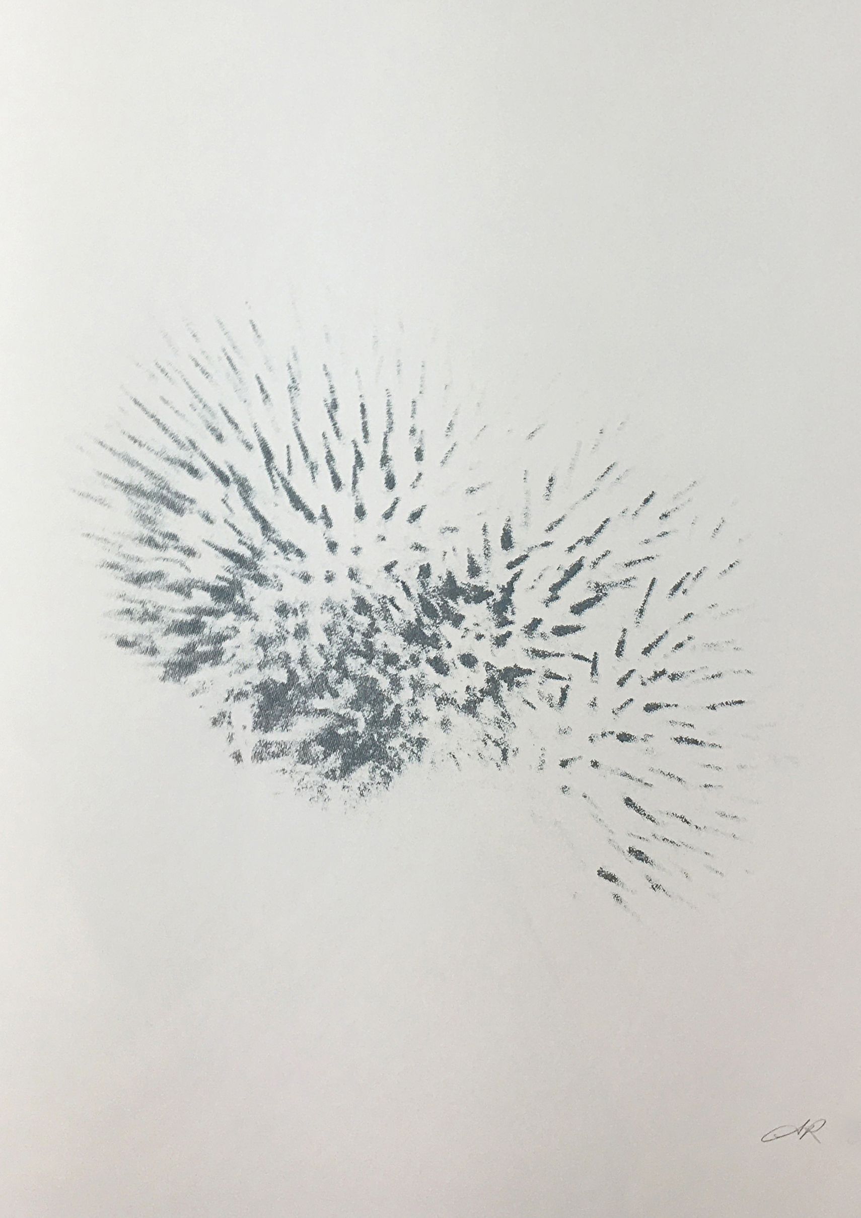 ​Aisling Roche, 'Sea urchin', unframed