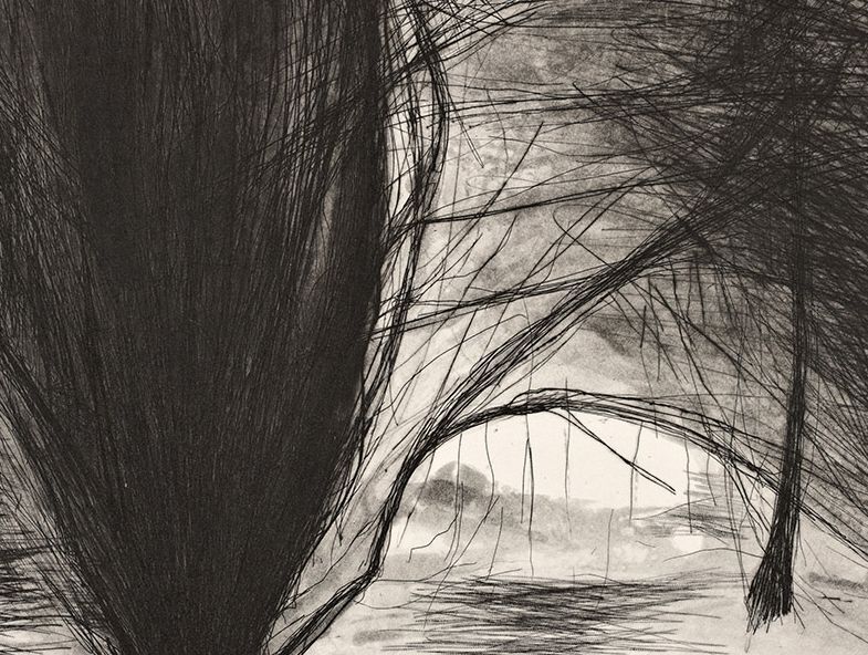 Geraldine O'Reilly, 'Yew Tree Series No. 1'