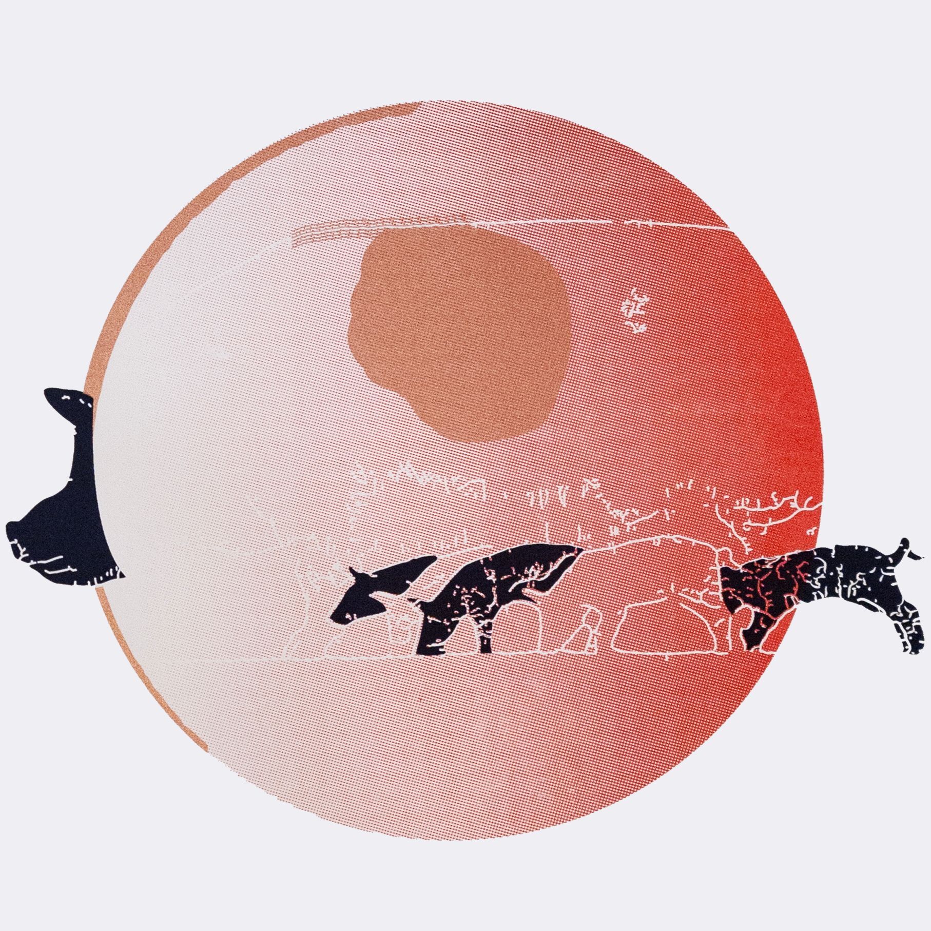 Lucy & Robert Carter, 'Pig and piglets (Leath Phingin)', unframed