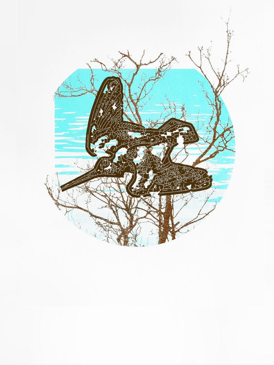 Lucy & Robert Carter, 'Woodcock (feoirling)', unframed