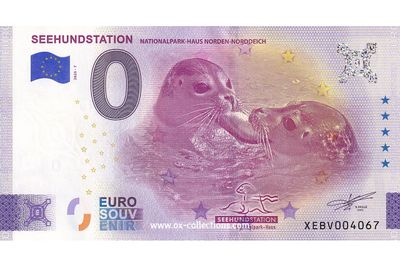 DE - Seehundstation - 2025-07 DE - Seehundstation - 2025-07