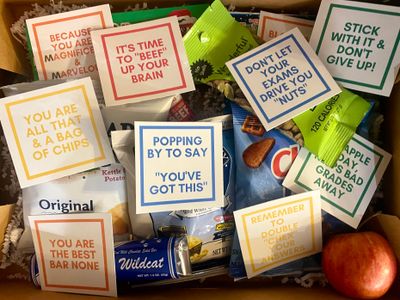 FINALS SURVIVAL KIT (ALL SCHOOLS)