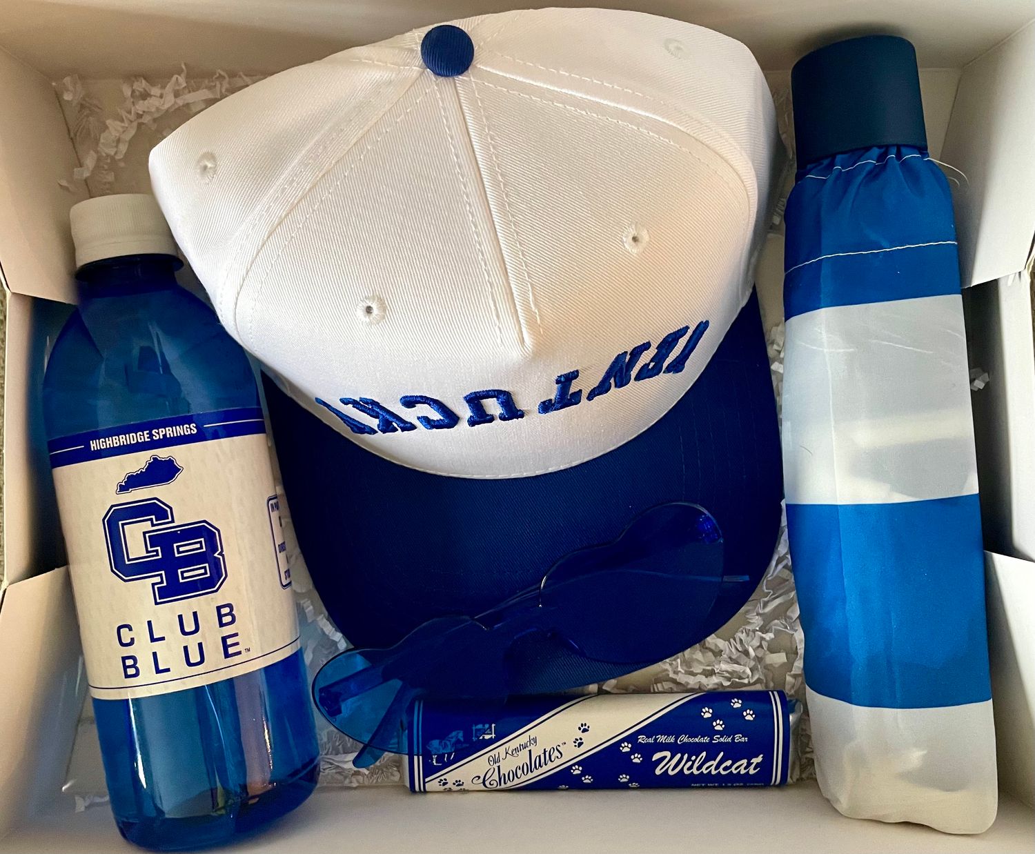 SHINE BRIGHT WILDCAT 2026