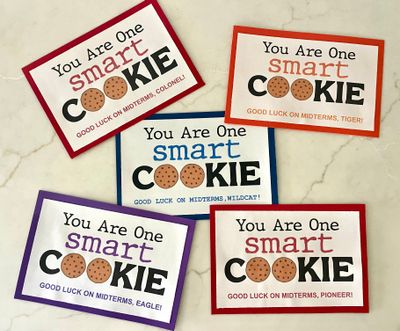 YOU ARE ONE SMART COOKIE - MIDTERMS (ALL SCHOOLS)