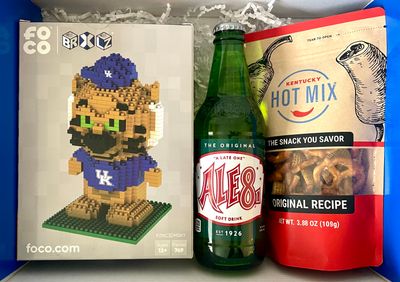 BUILD SOMETHING GREAT (WILDCAT LEGO EDITION)