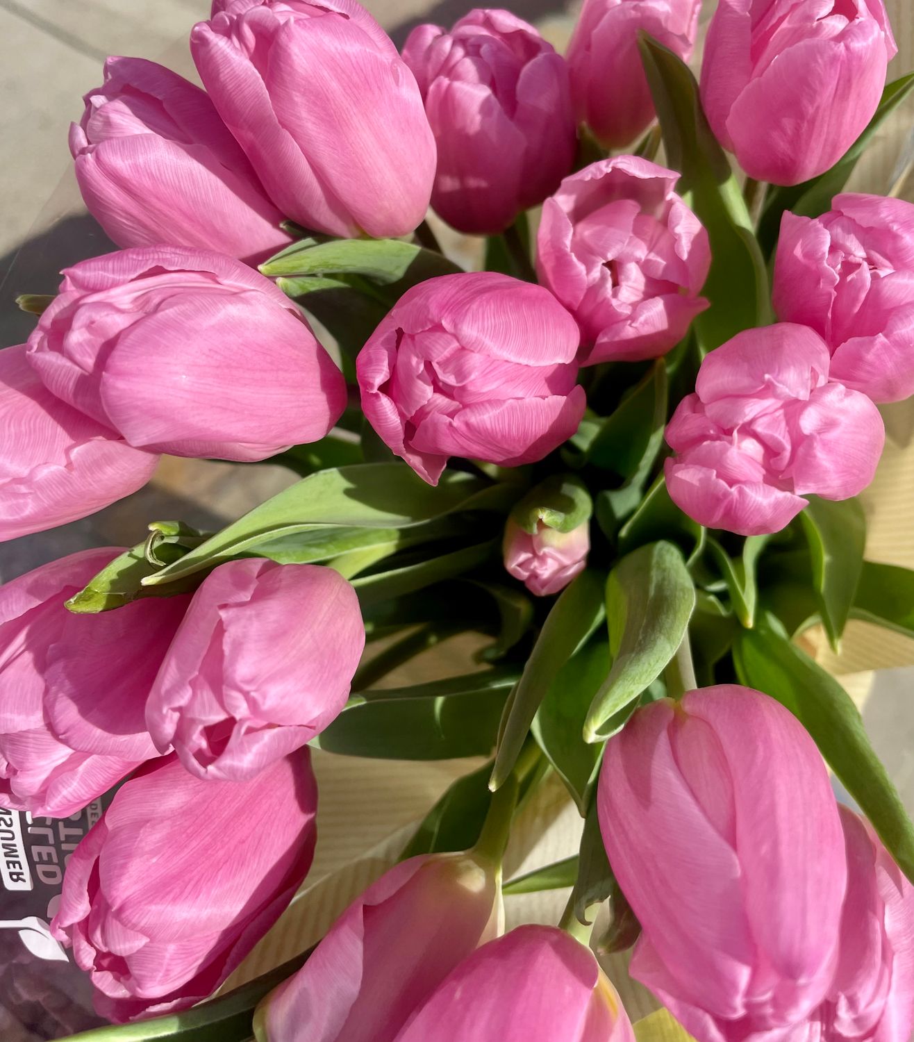 SPRING TULIPS ADD-ON