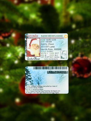 Santa's Sleigh Driver Licence