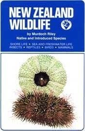 NZ Wildlife