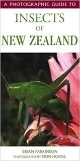 A Photographic Guide to Insects of NZ