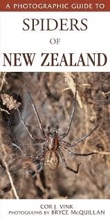 A Photographic Guide to Spiders of New Zealand by Cor Vink &amp; Bryce McQuilan