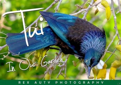 Tui In Our Garden by Rex Auty