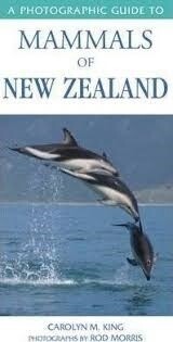 A Photographic Guide to Mammals of New Zealand by Carolyn King