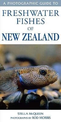 A Photographic Guide to Freshwater Fishes of New Zealand by Stella McQueen and Rod Morris