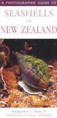 A Photographic Guide to Seashells of New Zealand by Margaret Morley and Iain Anderson, Format: Paperback