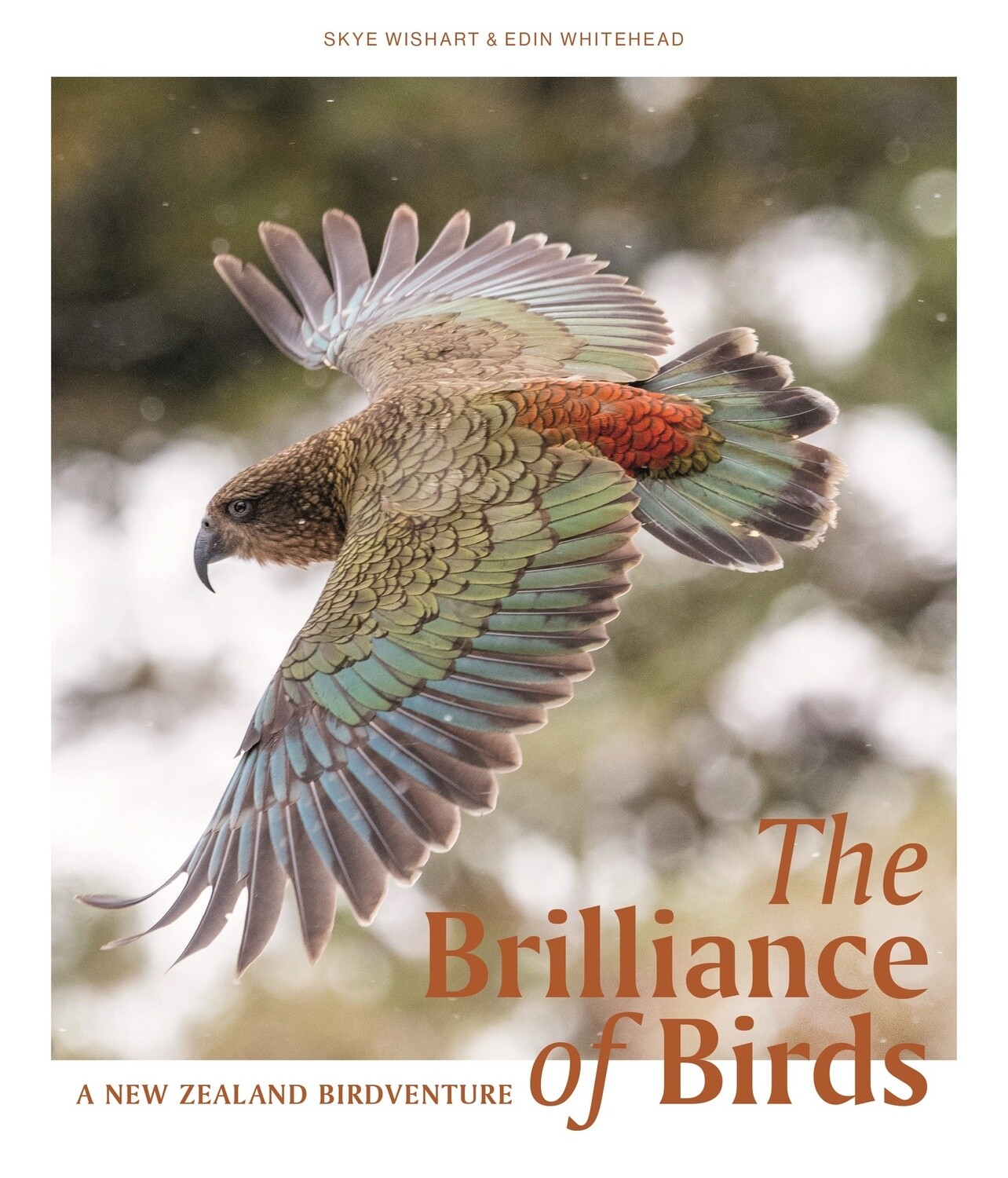 The Brilliance of Birds by Skye Wishart and Edin Whitehead, Format: Hardback