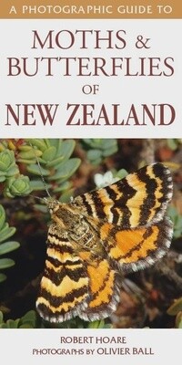 A Photographic Guide to Moths &amp; Butterfiles of NZ
