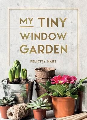 My Tiny Window Search by Felicity Hart
