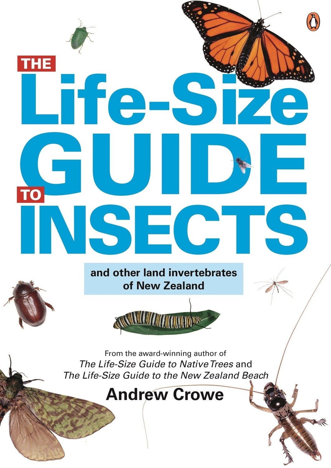 The Life-Size Guide to New Zealand Insects by Andrew Crowe