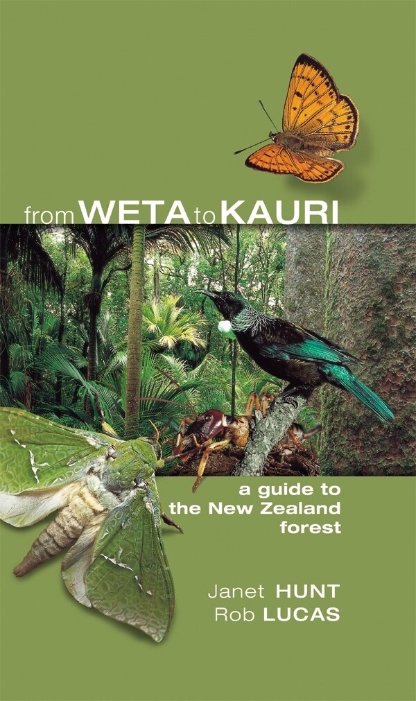 From Weta to Kauri: A Guide to the New Zealand Forest by Janet Hunt and Rob Lucas