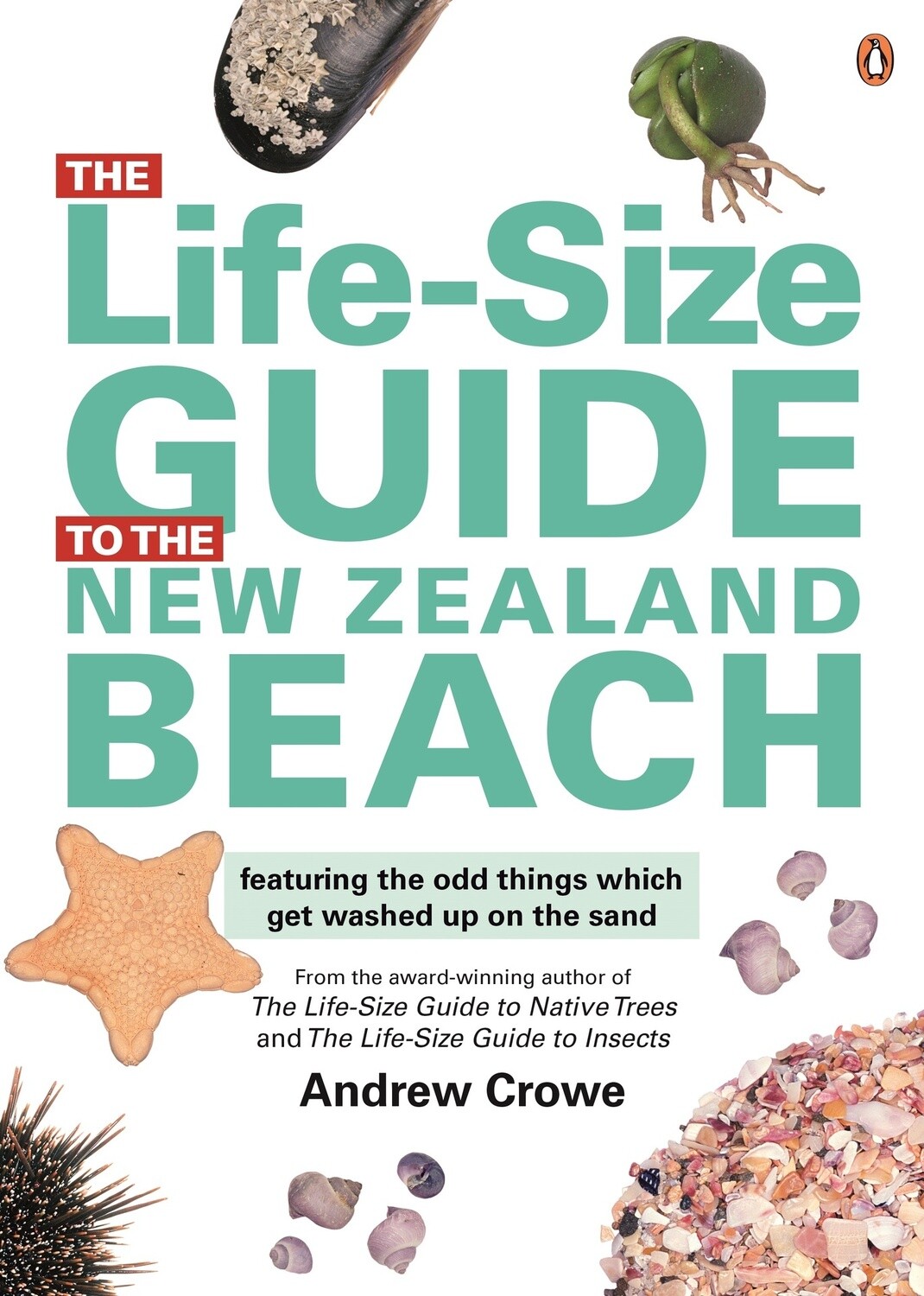 The Life-Size Guide to the New Zealand Beach by Andrew Crowe
