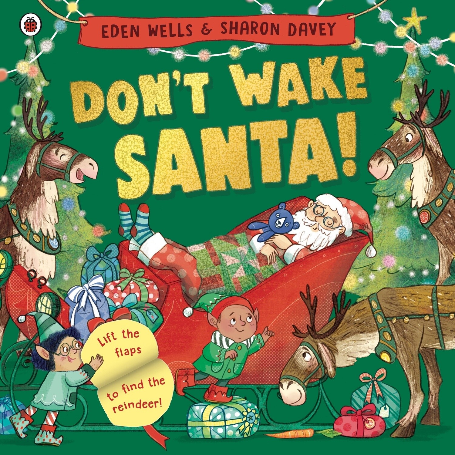 Don't Wake Santa: A lift-the-flap Christmas book