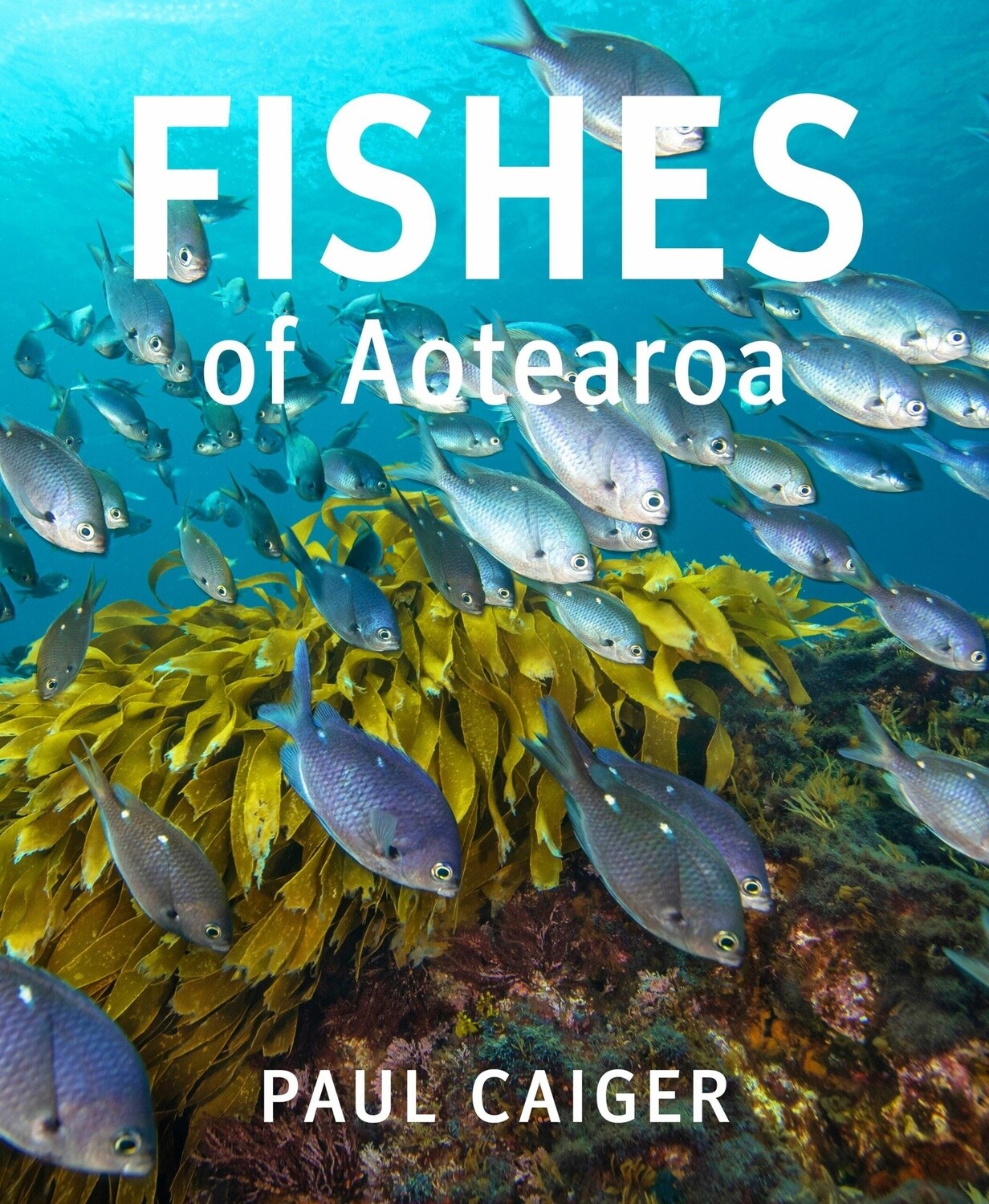 Fishes of Aotearoa New Zealand by Paul Caiger
