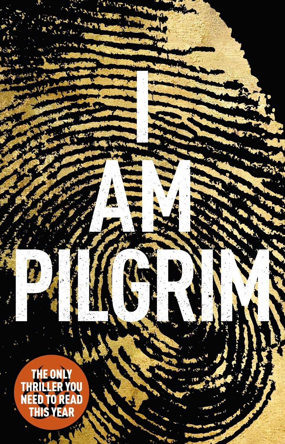 I Am Pilgrim by Terry Hayes, Format: Paperback