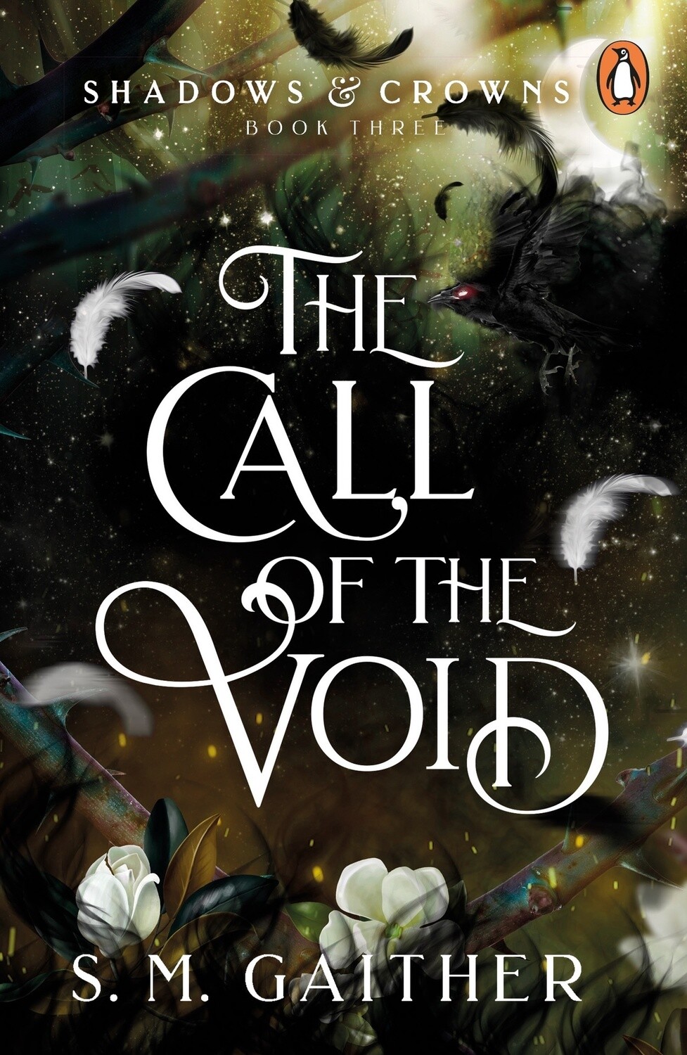 The Call of the Void (Shadow and Crowns  Book 3) by S. M. Gaither
