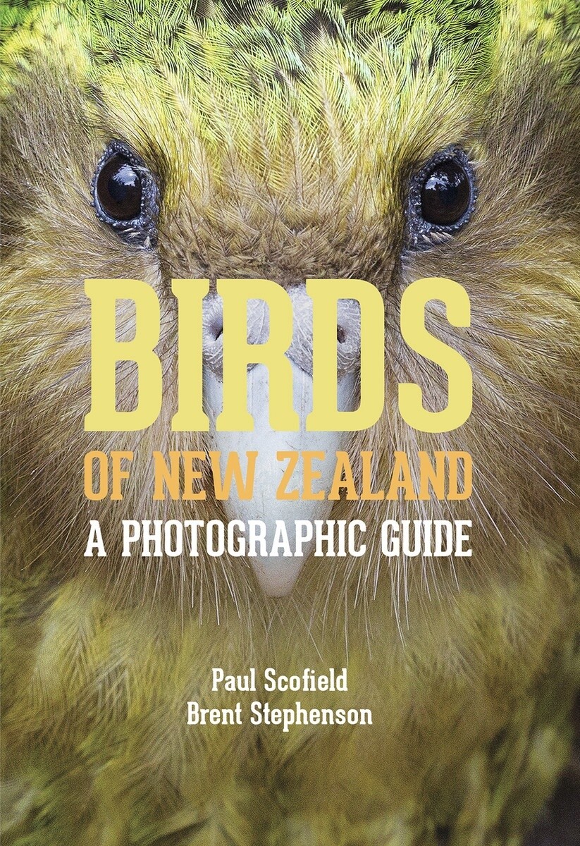 Birds of New Zealand by Paul Scofield and Brent Stephenson