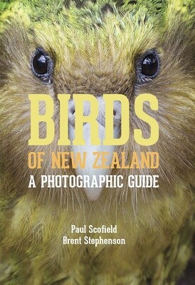 Birds of New Zealand by Paul Scofield and Brent Stephenson