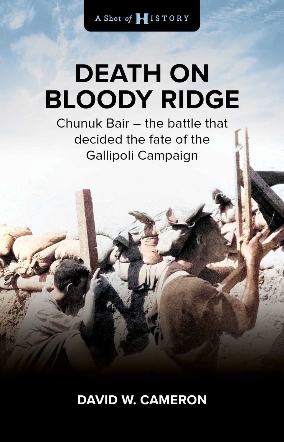 Death on Bloody Ridge by David W. Cameron