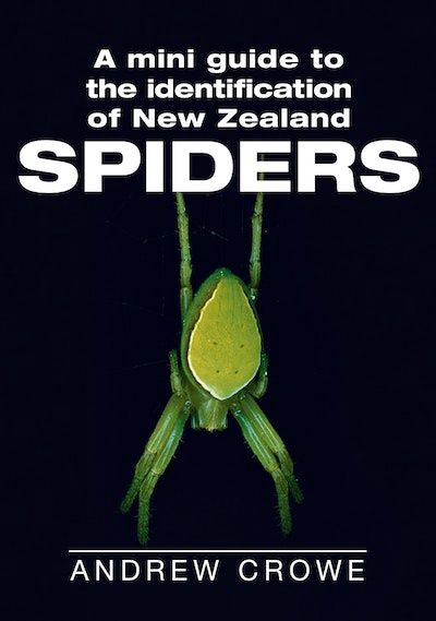 A Mini Guide to the Identification of New Zealand Spiders by Andrew Crowe