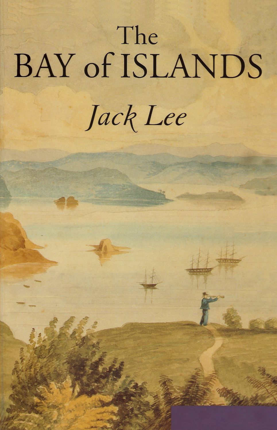The Bay of Islands by Jack Lee