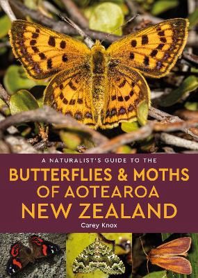 A Naturalist&#39;s Guide to the Butterflies and Moths of Aotearoa New Zealand by Carey Knox