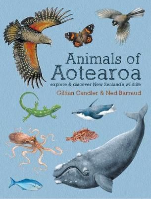 Animals of Aotearoa by Gillian Candler and Ned Barraud