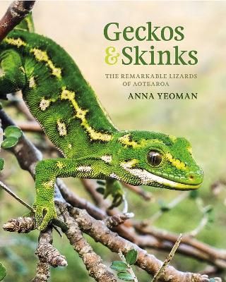 Geckos &amp; Skinks by Anna Yeoman