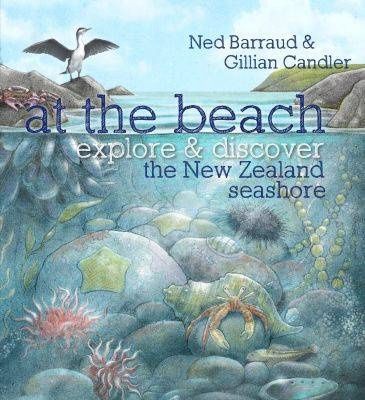 At the Beach by Gillian Candler and Ned Barraud